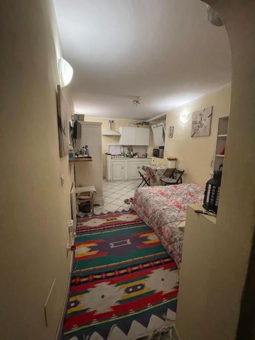 Apartmán Monolocale Carino Florencie Exteriér fotografie
